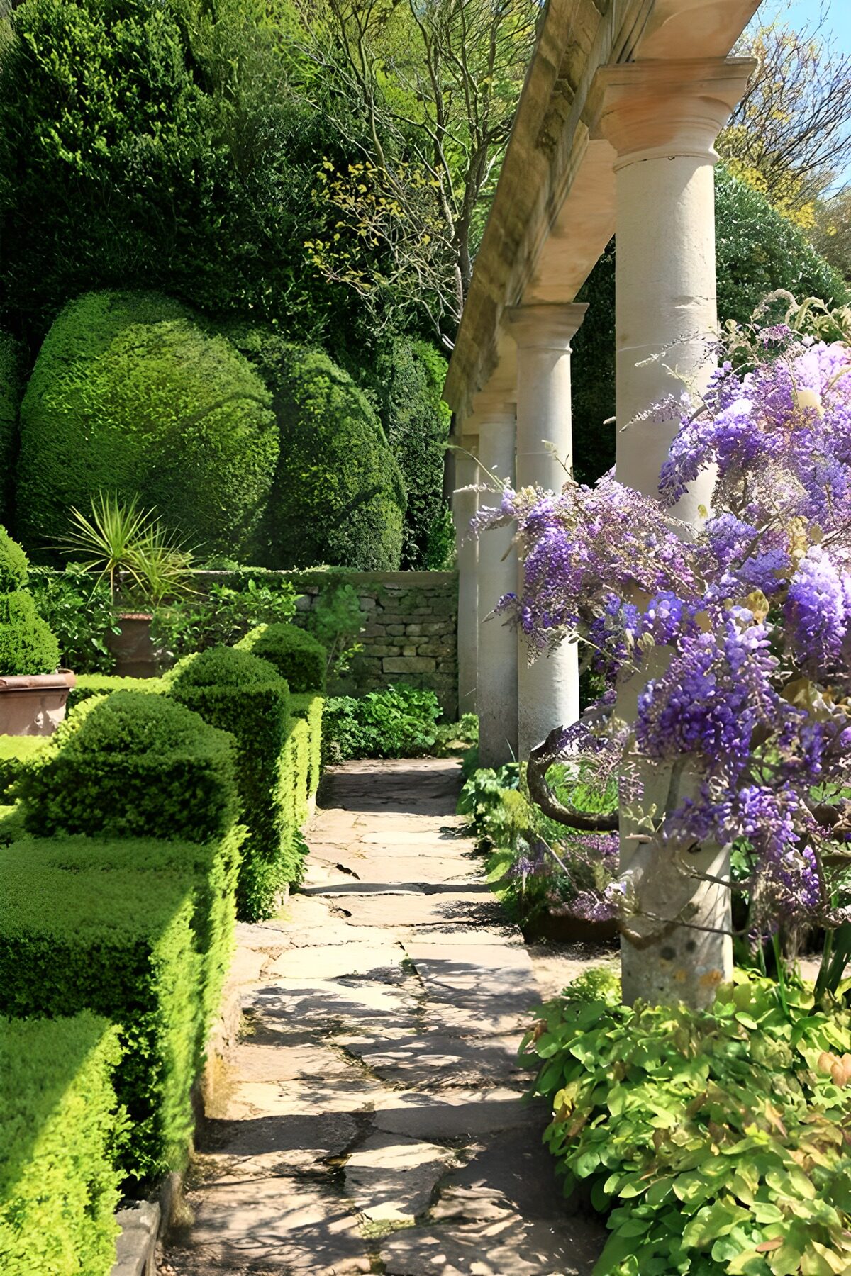 OCUK20006: Pathway with columns and Wisteria Sinensis