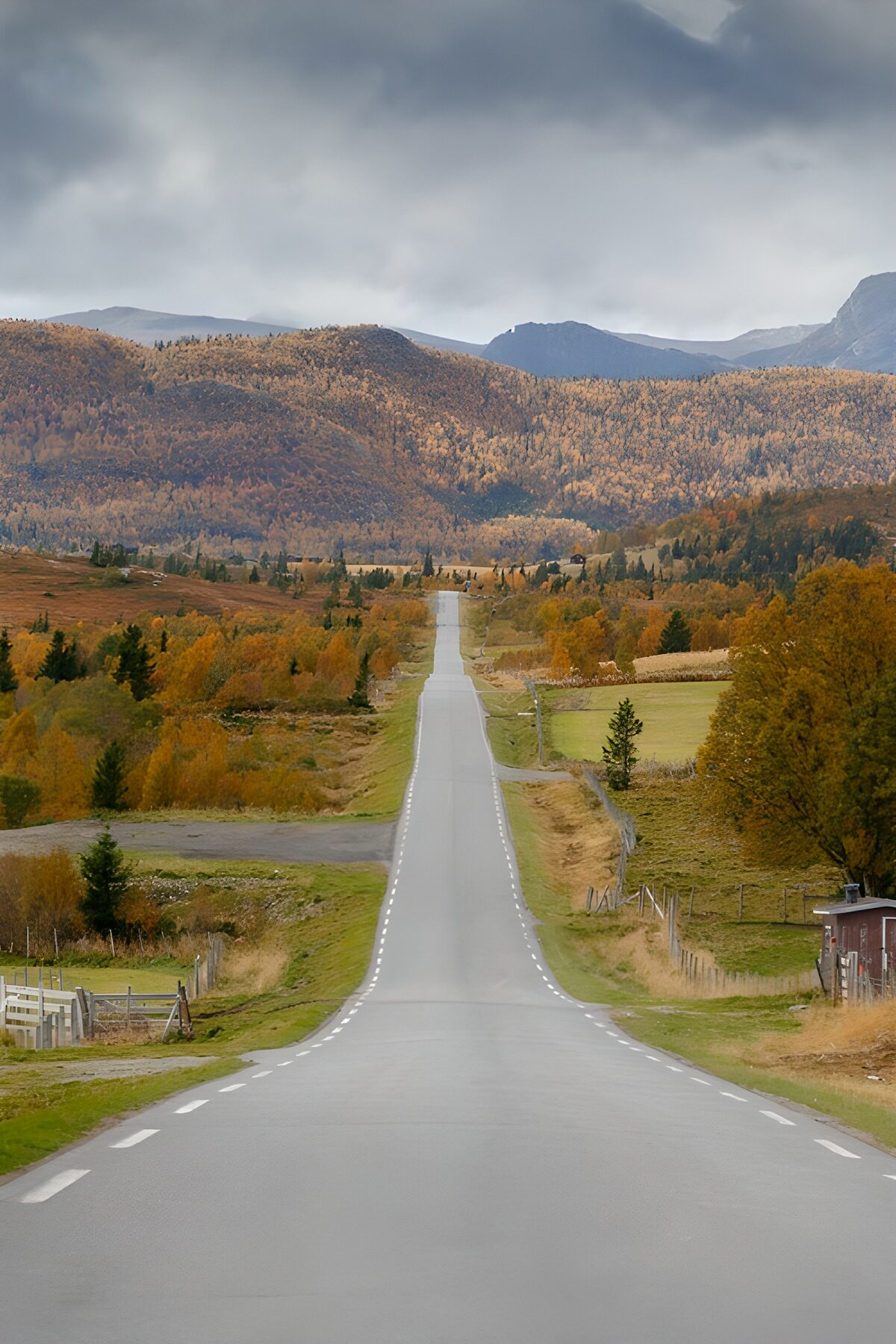 OCUK23407: Serene Autumn Road through Rolling Hills