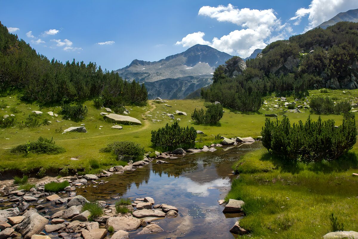 OCUK62498: Serene Mountain Stream Landscape