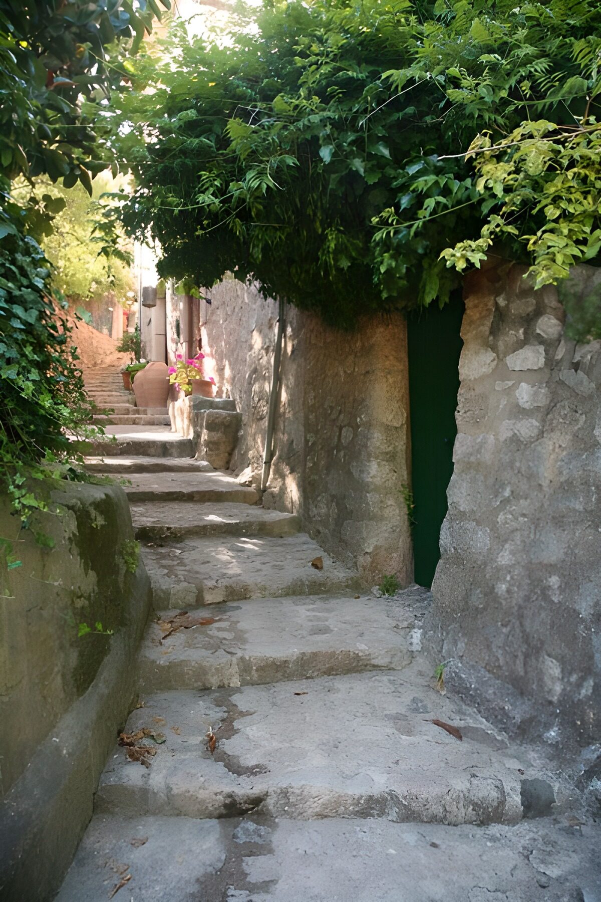 OCUK17971: Small steps running along wall with hanging foliage 2