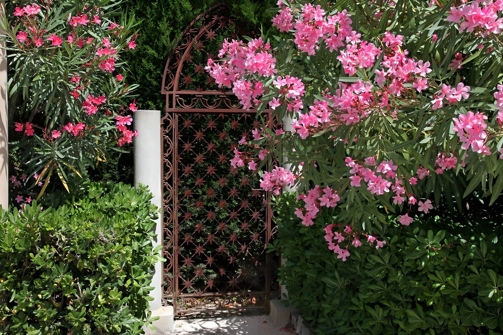 OCUK31995: Enchanted Garden Gate