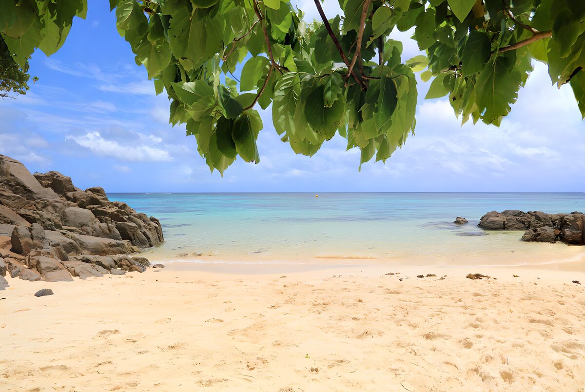 OCUK50723: Serene Beachfront Oasis