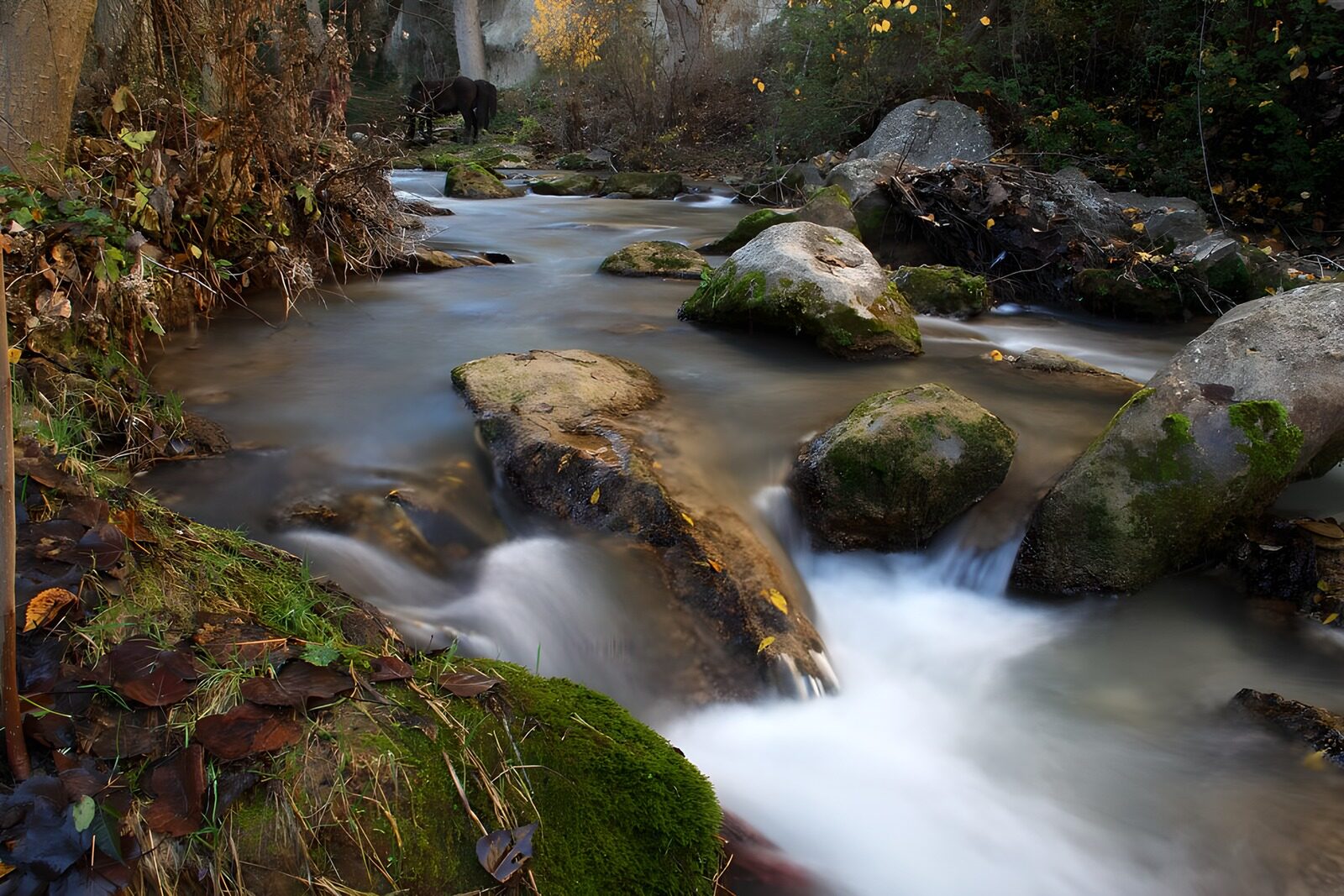 OCUK41592: Serene Stream Flowing Through Nature