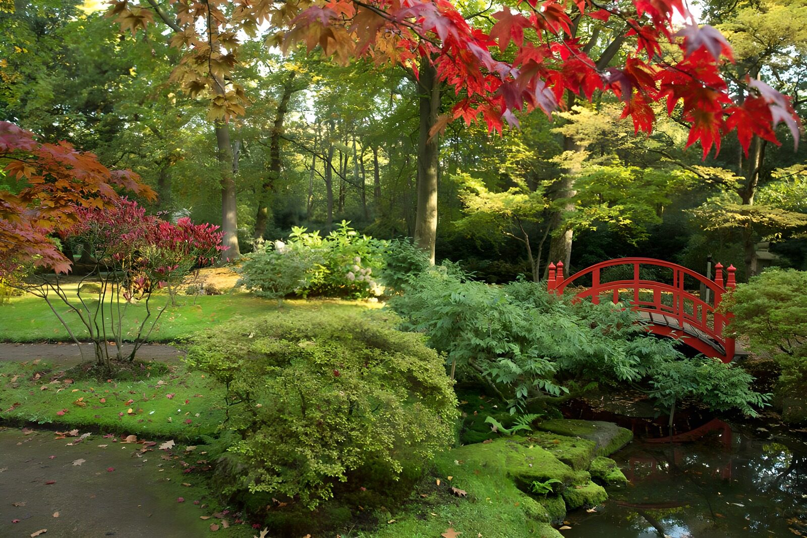 OCUK80612: Tranquil Japanese Garden Scene