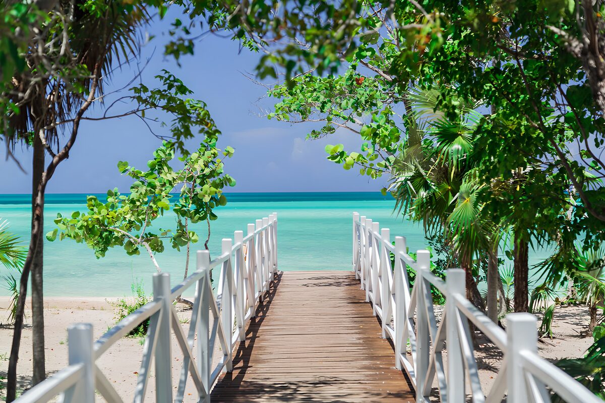 OCUK78165: Serene Path to Tropical Waters