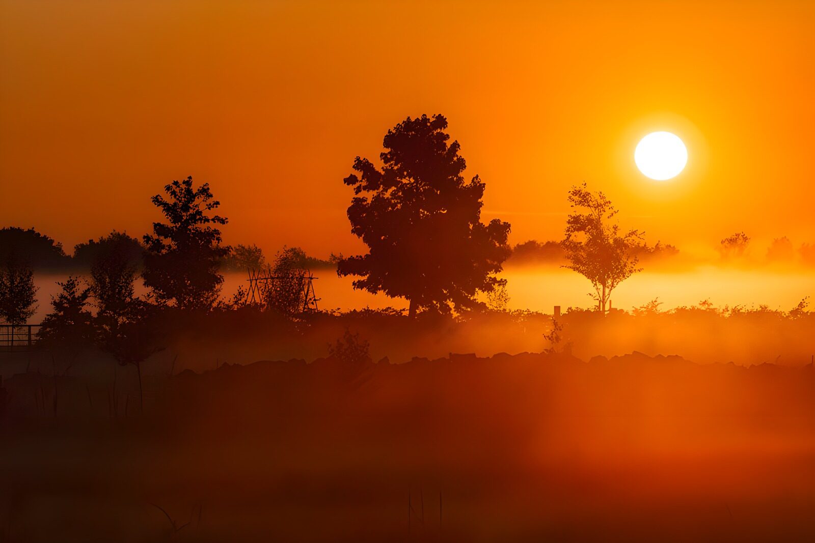 OCUK30977: Sunrise Serenity in the Mist
