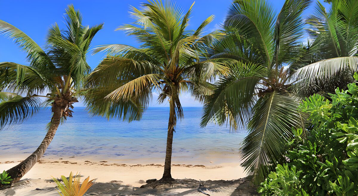 OCUK72240: Tropical Serenity by the Shore