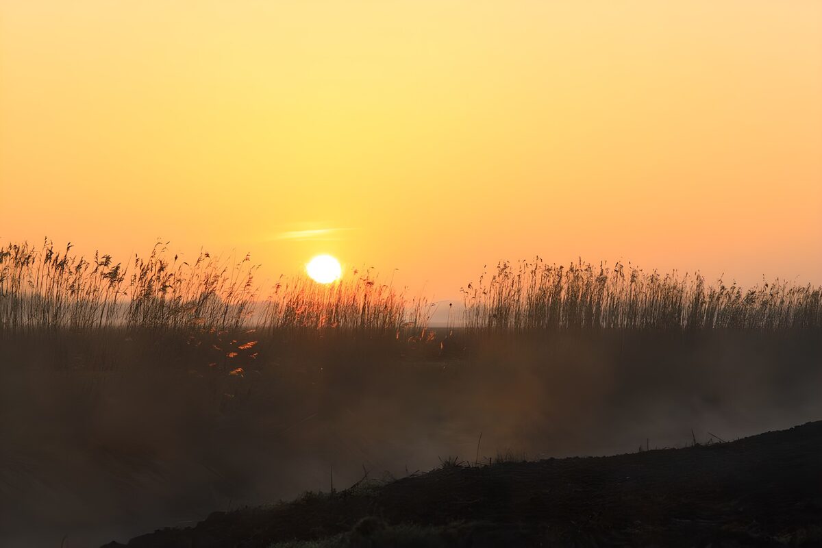 Morning sun in the polder
