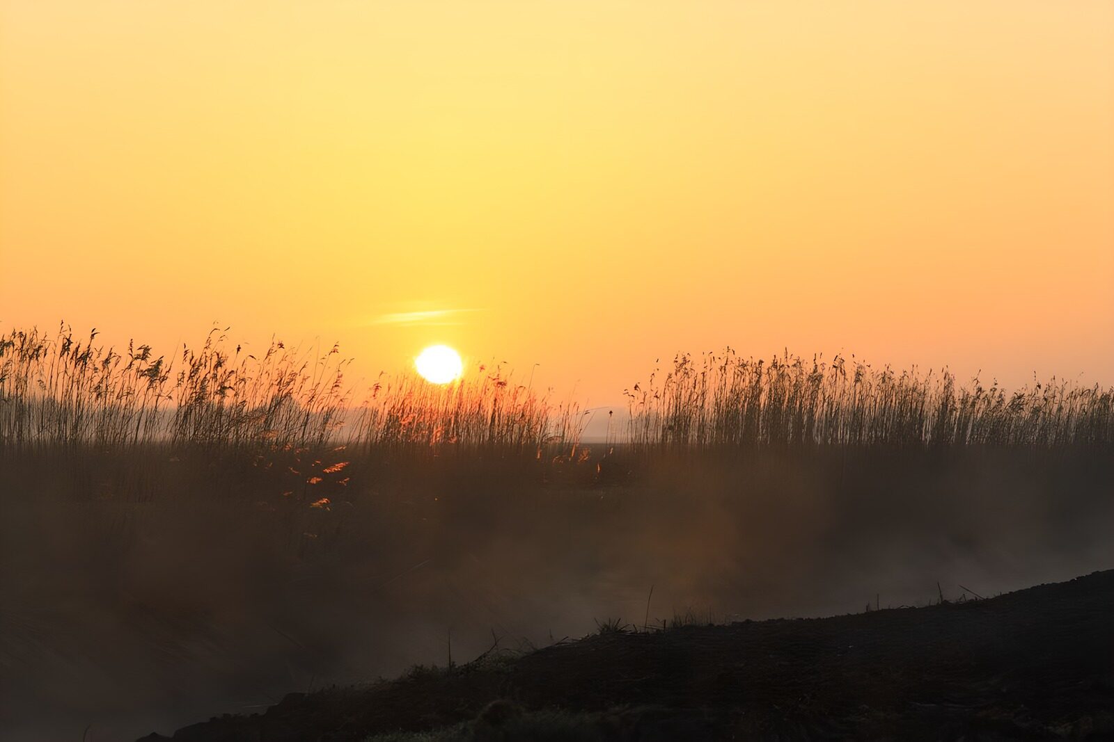 OCUK73249: Morning sun in the polder