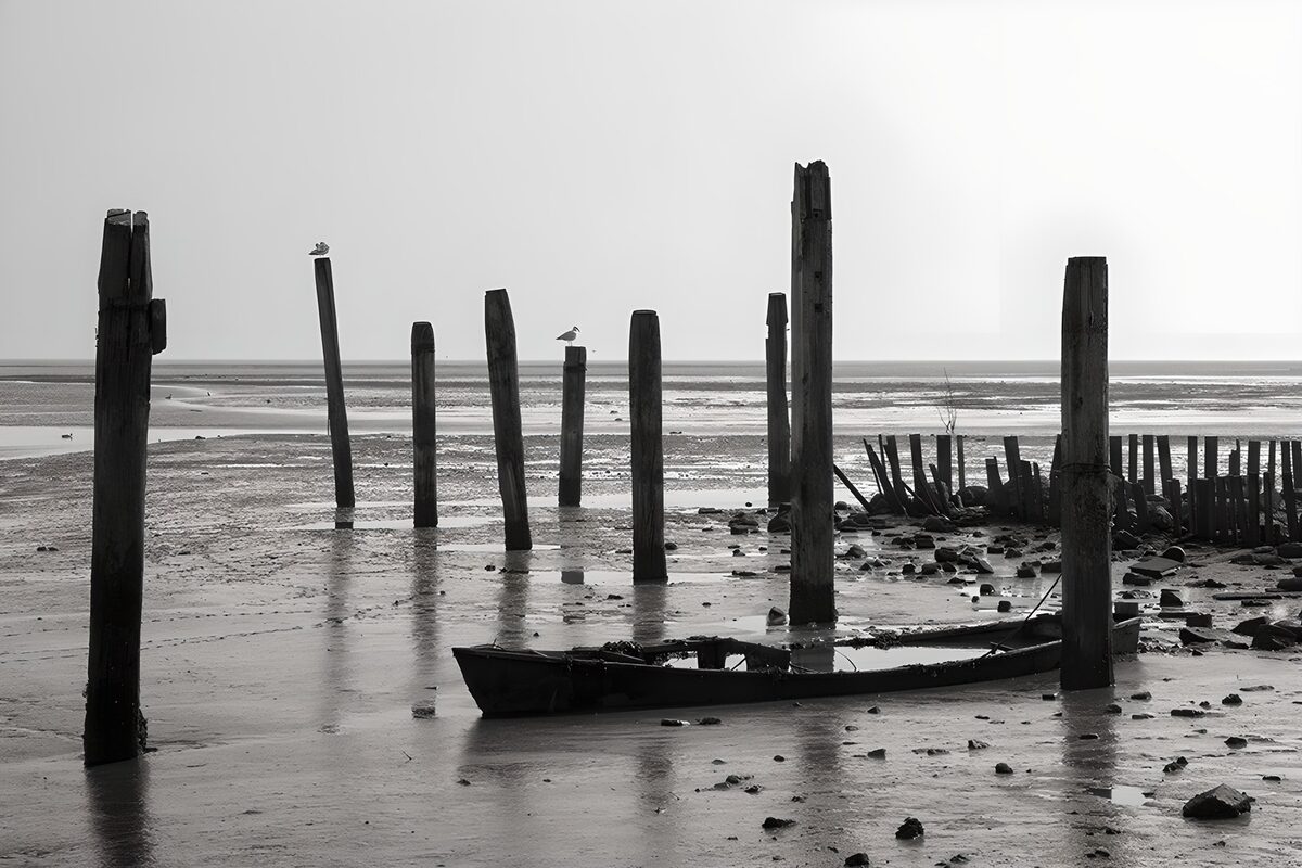 Tranquil Ruins of a Forgotten Shoreline