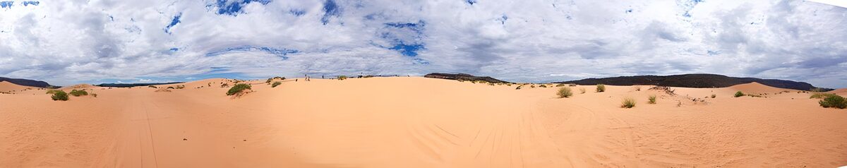 OCUK78202: Expansive Desert Landscape