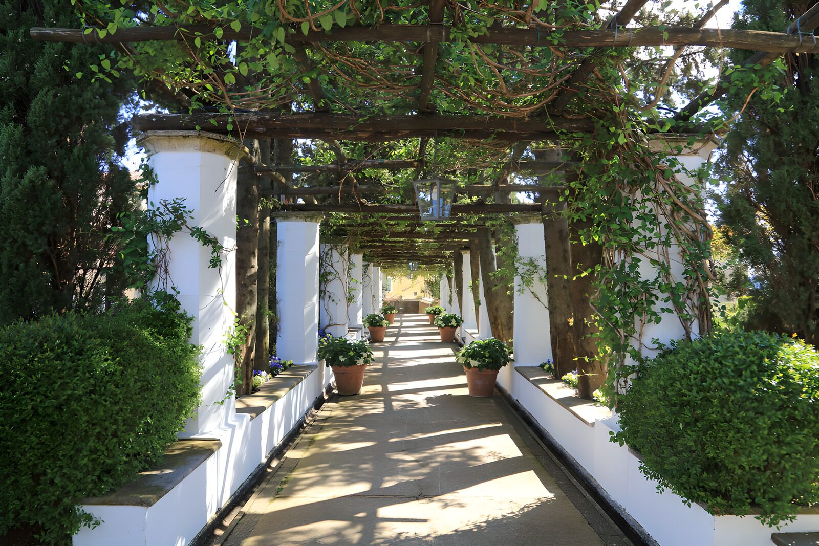 OCUK34075: Tranquil Garden Pathway