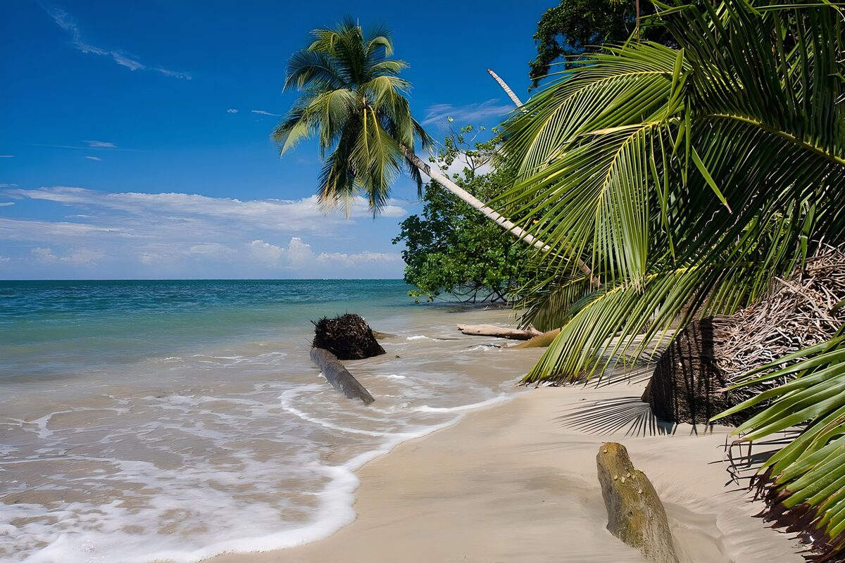 OCUK81303: Serene Tropical Beach Paradise