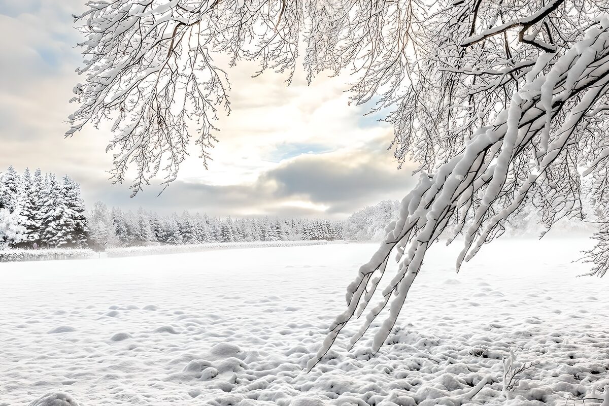 OCUK46625: Winter Wonderland Serenity