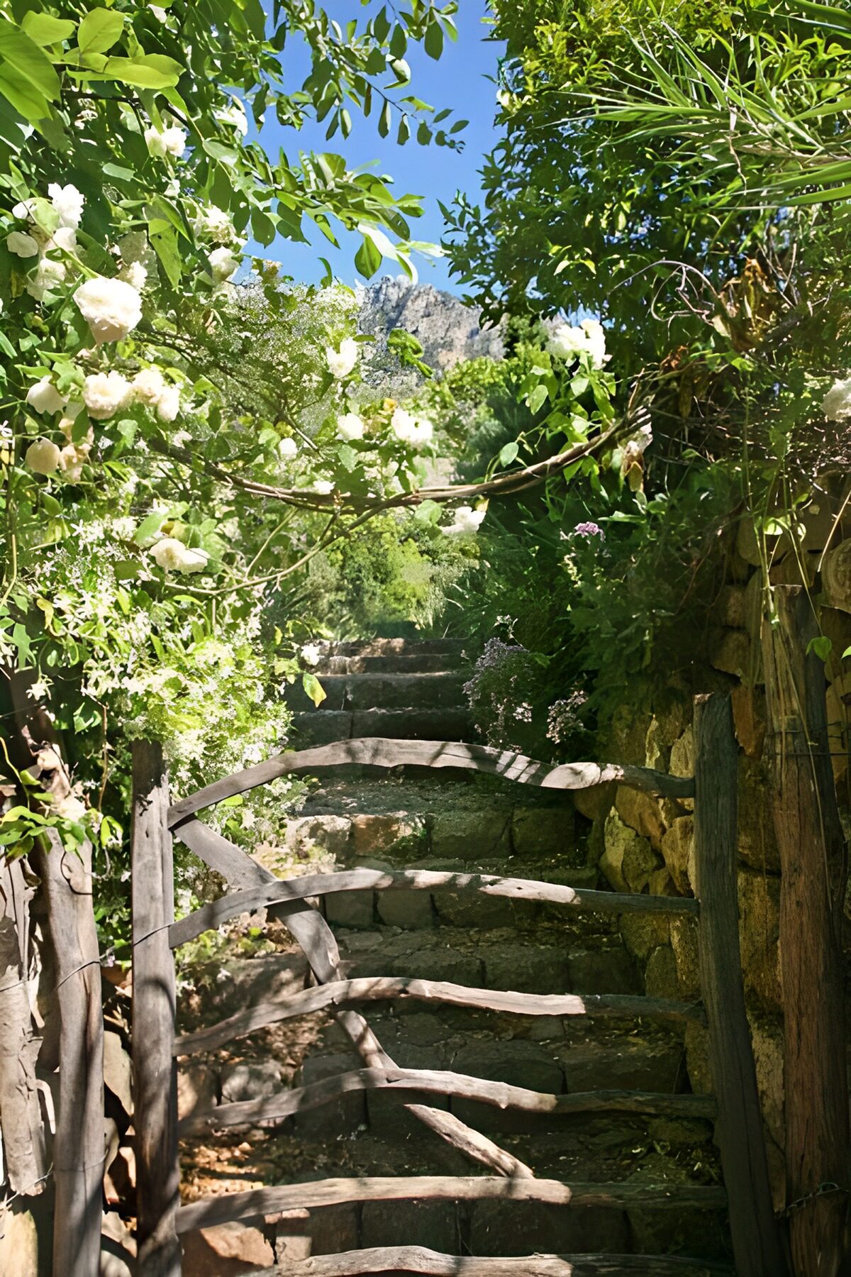 OCUK79629: Gate with stairs going up and hedges