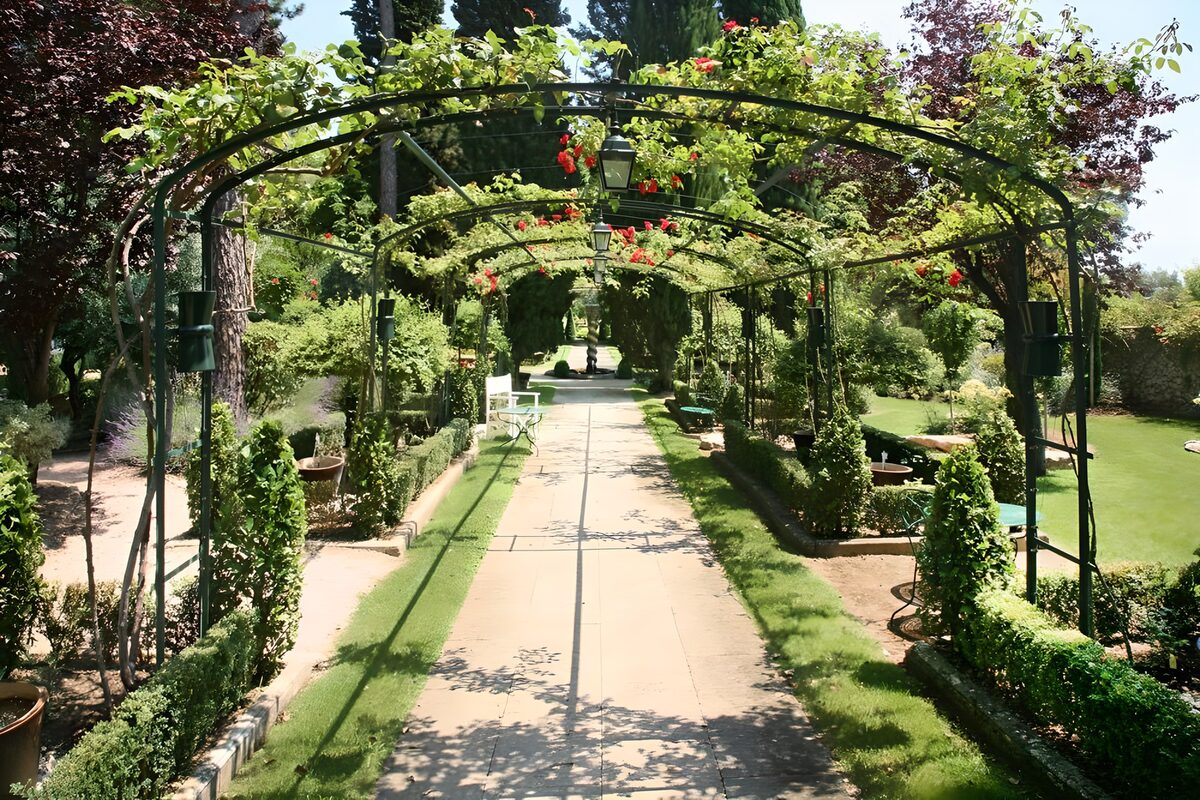 Roses arch in French garden version 2