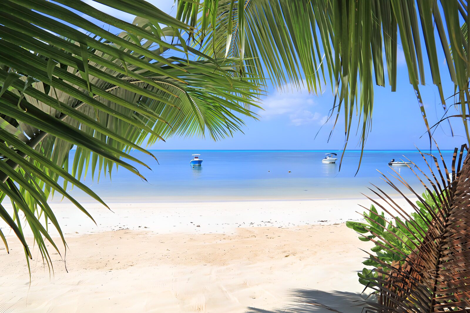 OCUK73902: Tropical Paradise Escape