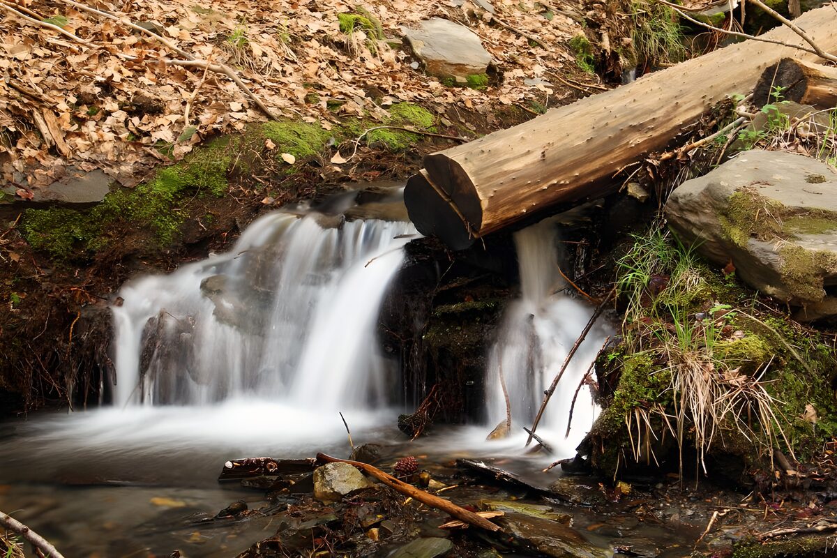 OCUK12613: Tranquil Forest Stream