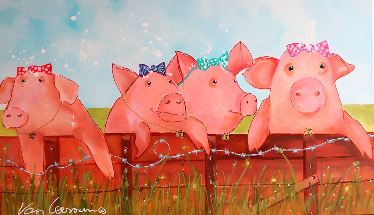 Charming Pigs on a Farm Fence