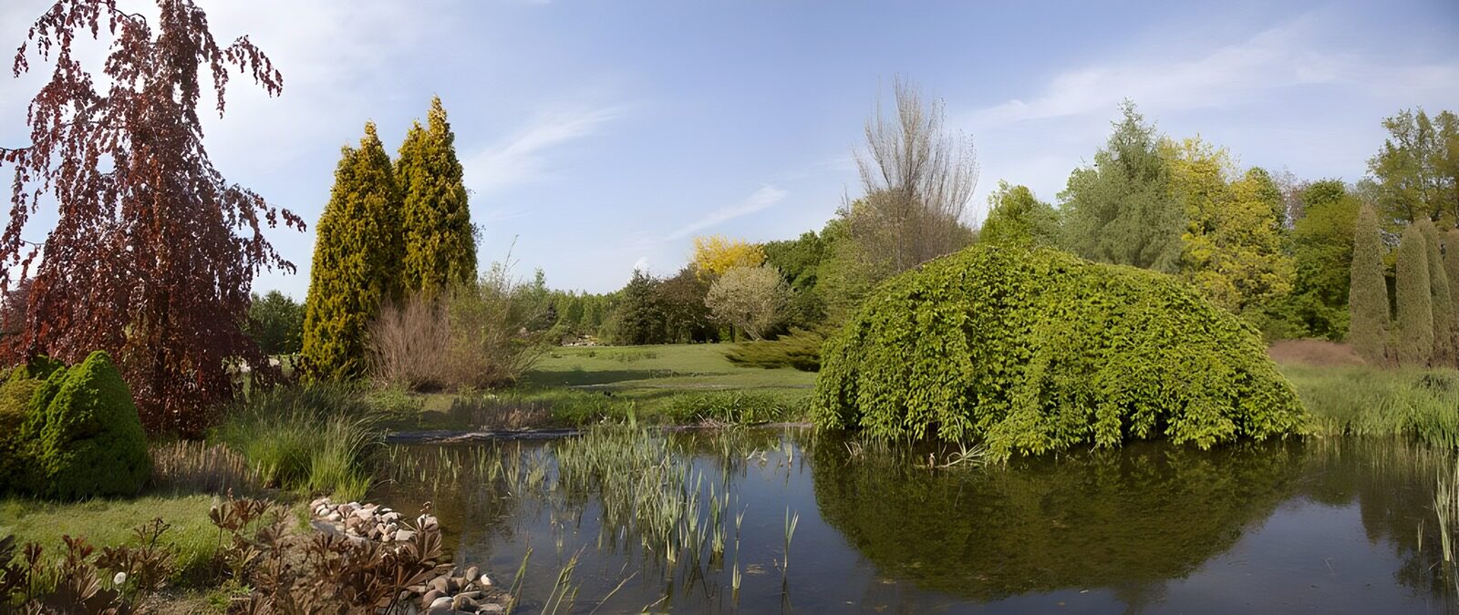 OCUK45906: Serene Garden Reflections