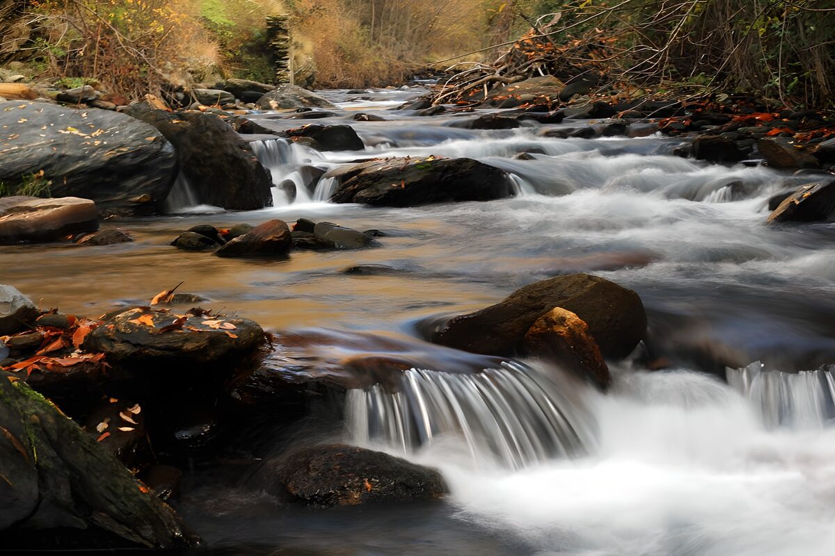 OCUK16037: Tranquil Stream Flowing Through Autumn Leaves