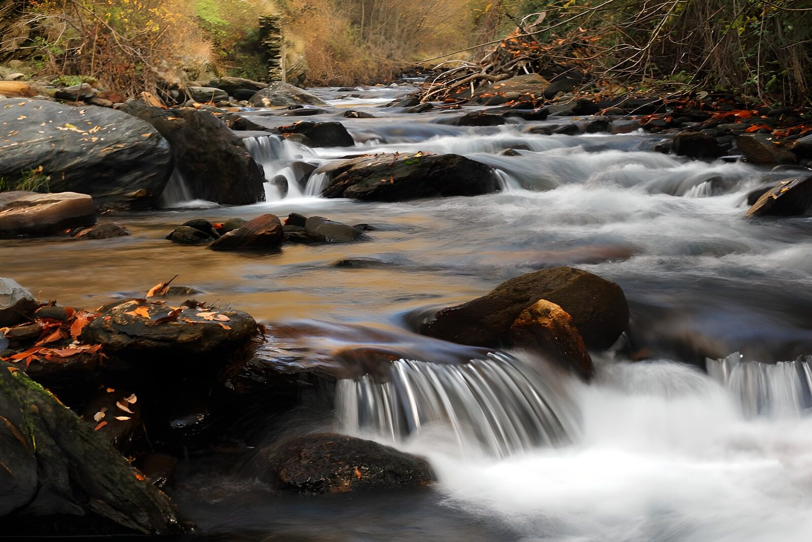OCUK16037: Tranquil Stream Flowing Through Autumn Leaves