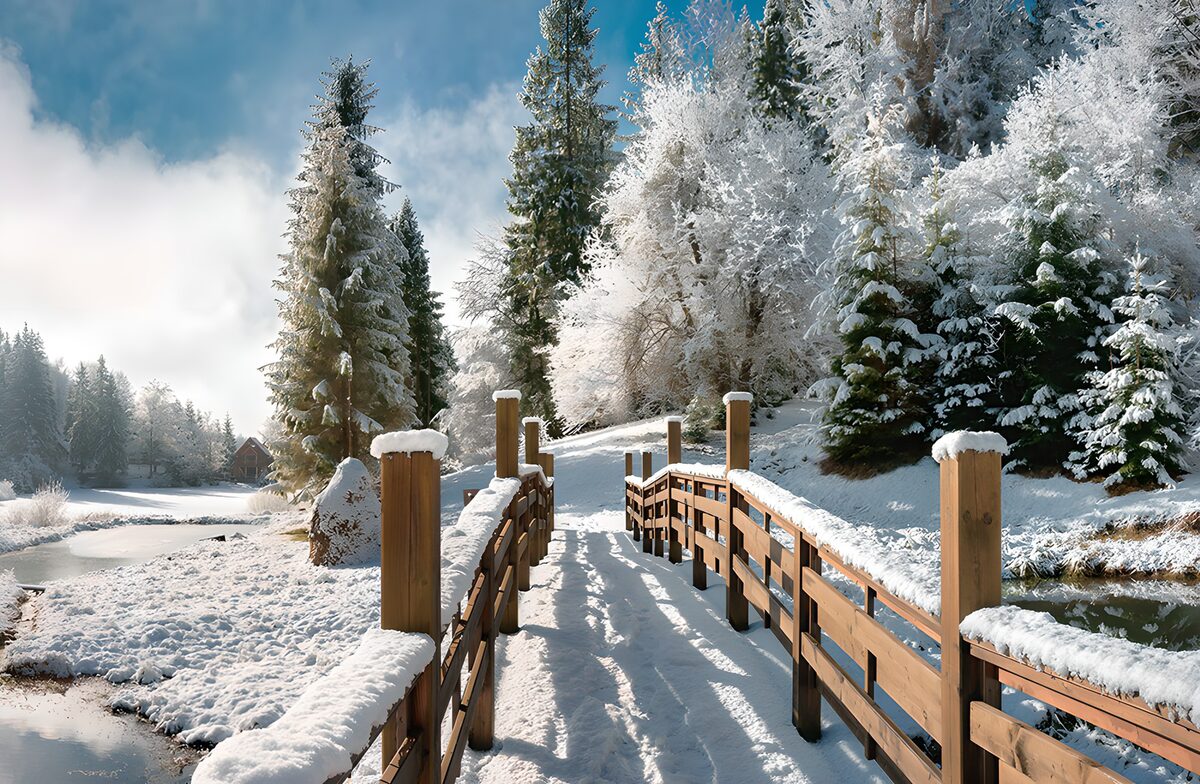 OCUK35868: Winter Wonderland Bridge Scene
