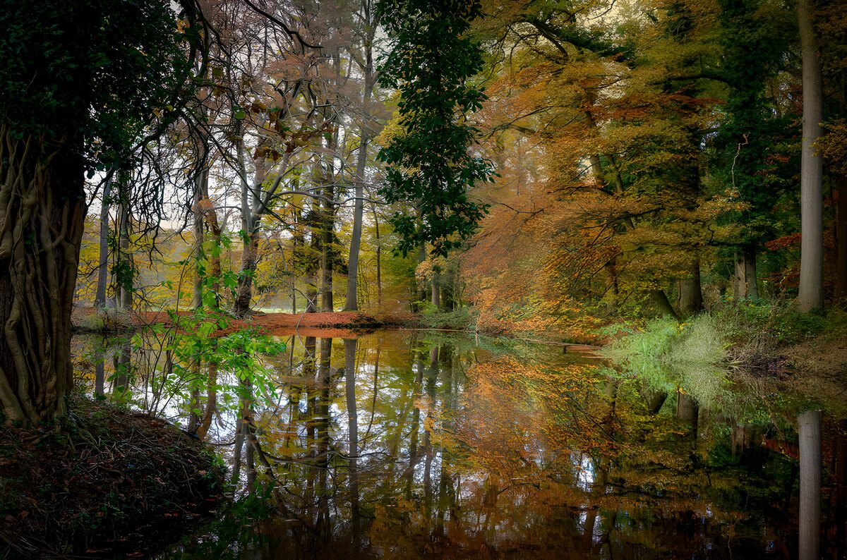 OCUK95965: Serene Autumn Reflections