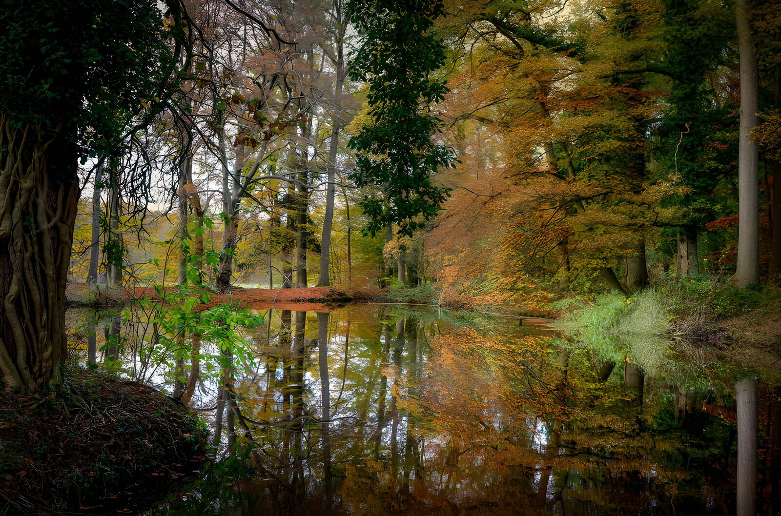 OCUK95965: Serene Autumn Reflections