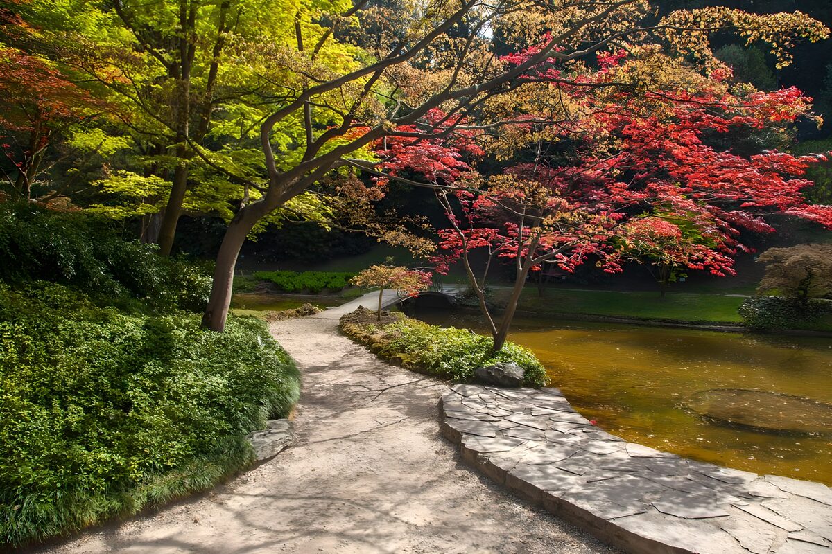 Pond in Japanese garden with a pathway to a brick bridge