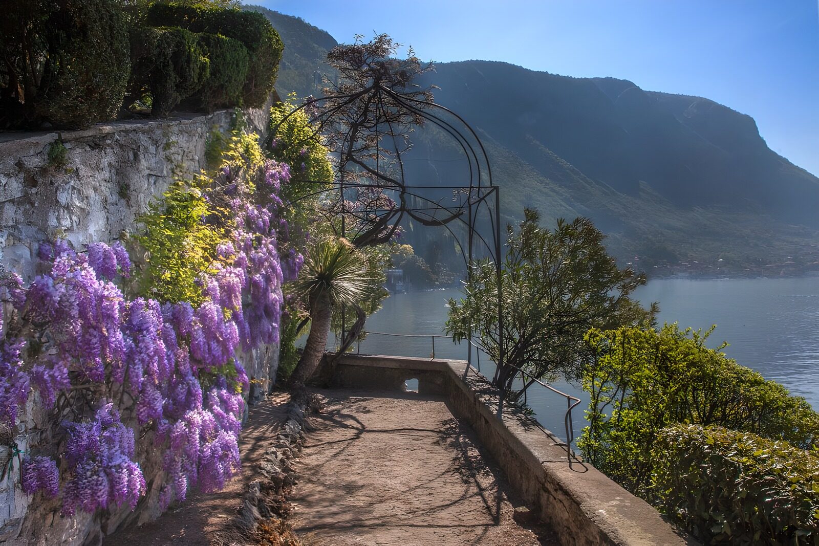OCUK45094: Scenic Lakefront Path with Wisteria