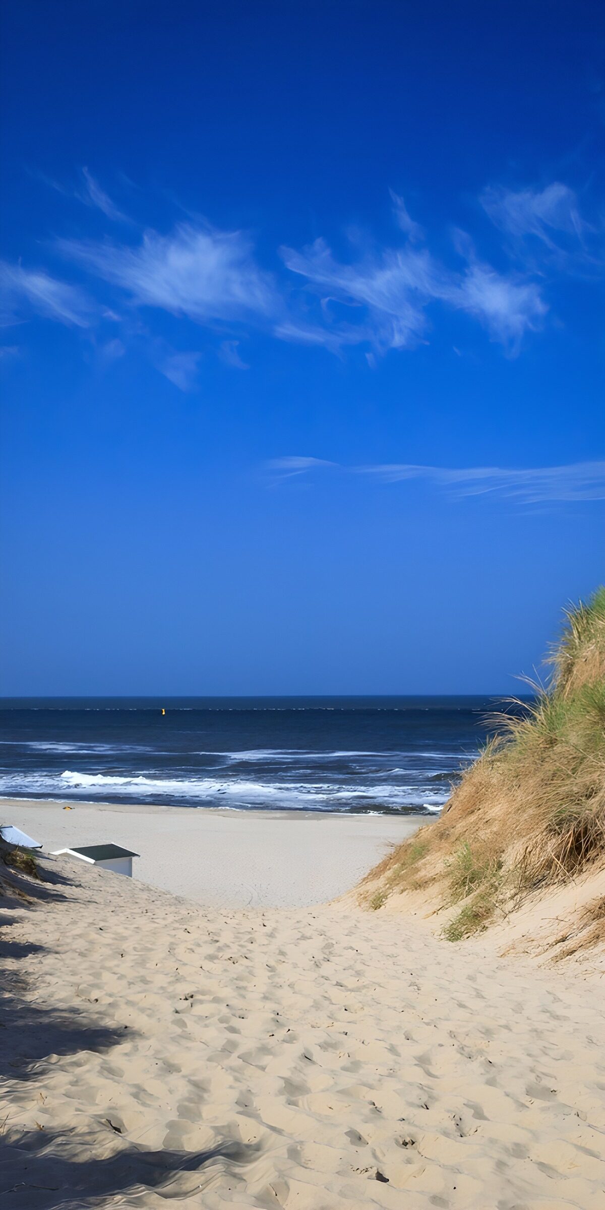 OCUK84771: Tranquil Beach Pathway