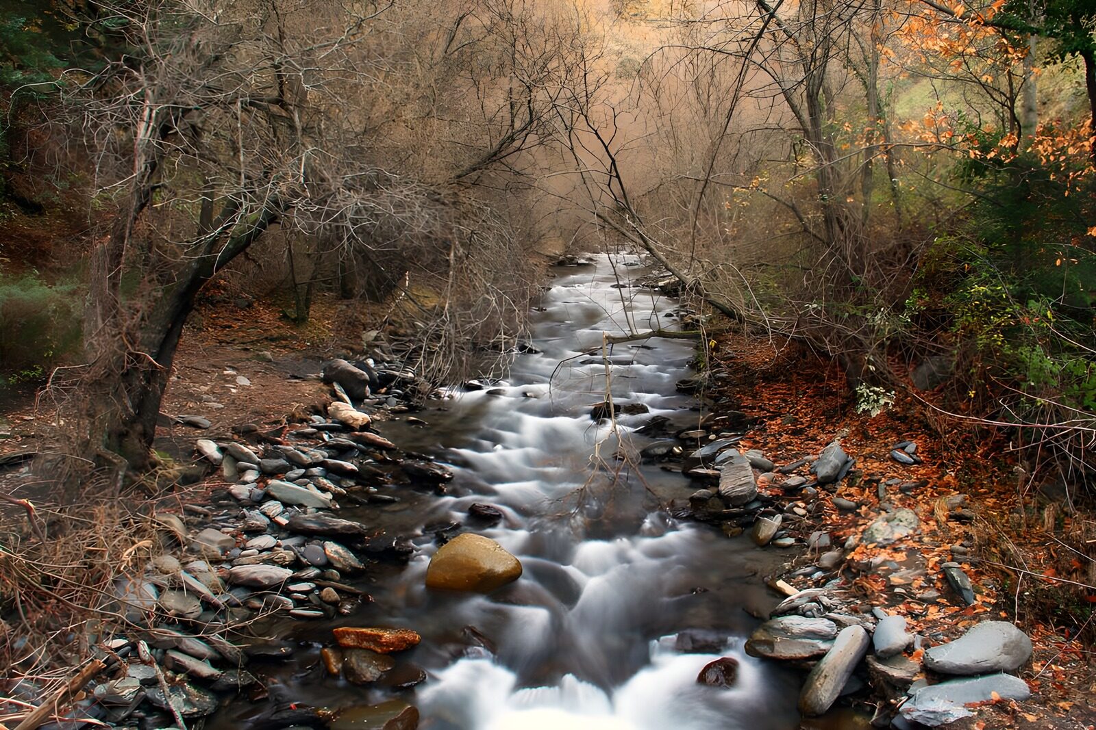OCUK84081: Serene Autumn Stream Flowing Through Woods