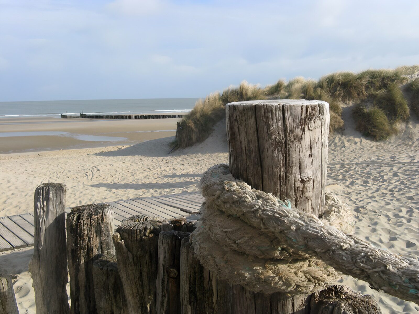 OCUK57733: Coastal Serenity with Weathered Dock Post