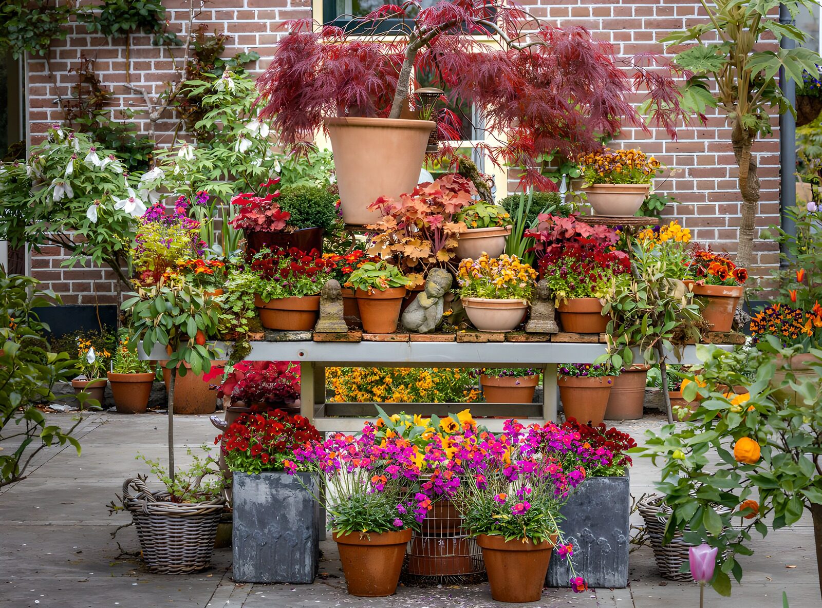 OCUK41301: Vibrant Garden Flower Display