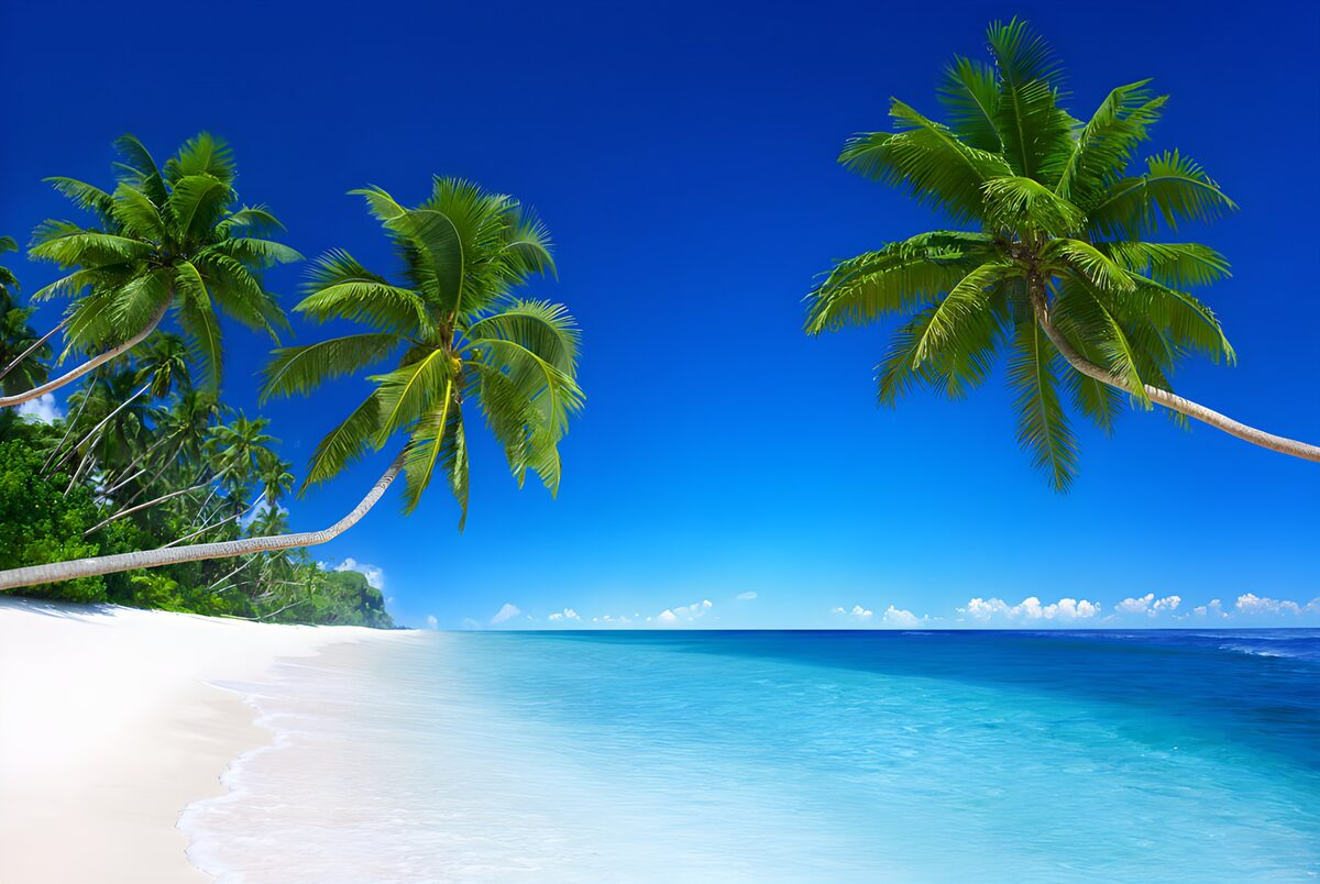 OCUK86878: Tropical Paradise: Palm Trees by the Sea