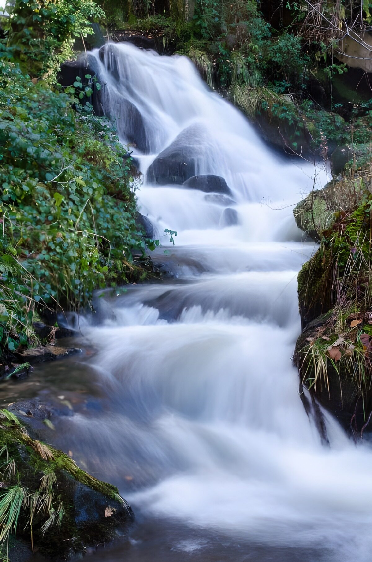 OCUK55940: Serenity in Motion: A Gentle Waterfall