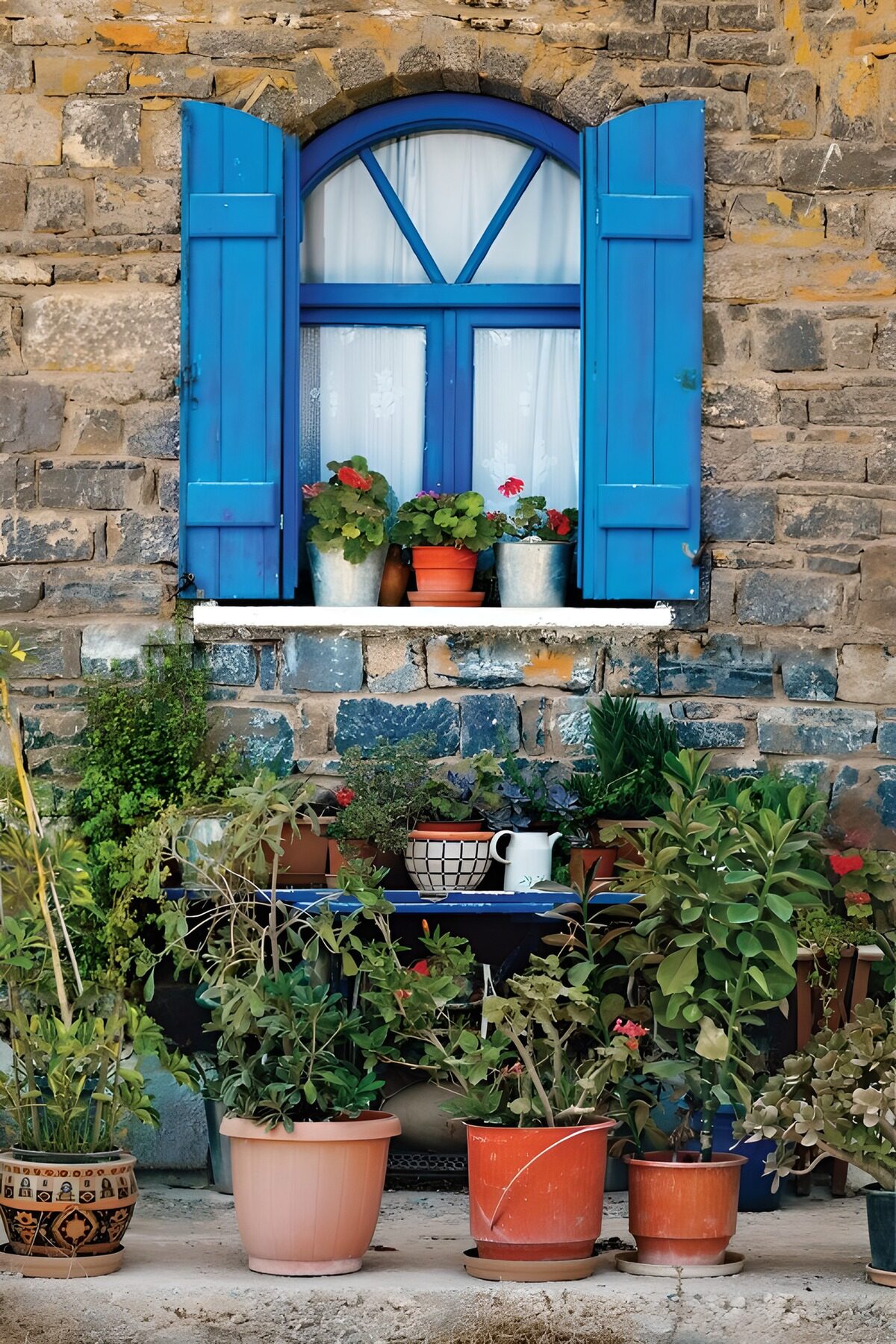 OCUK81347: Charming Blue Window with Flower Pots
