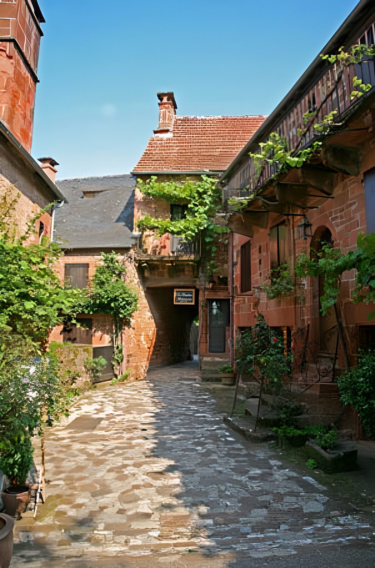 OCUK58140: Authentic almshouse with gate, houses and ivy