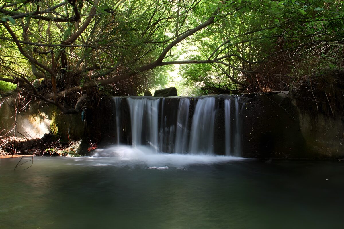 OCUK93528: Serene Stream Waterfall in Lush Forest