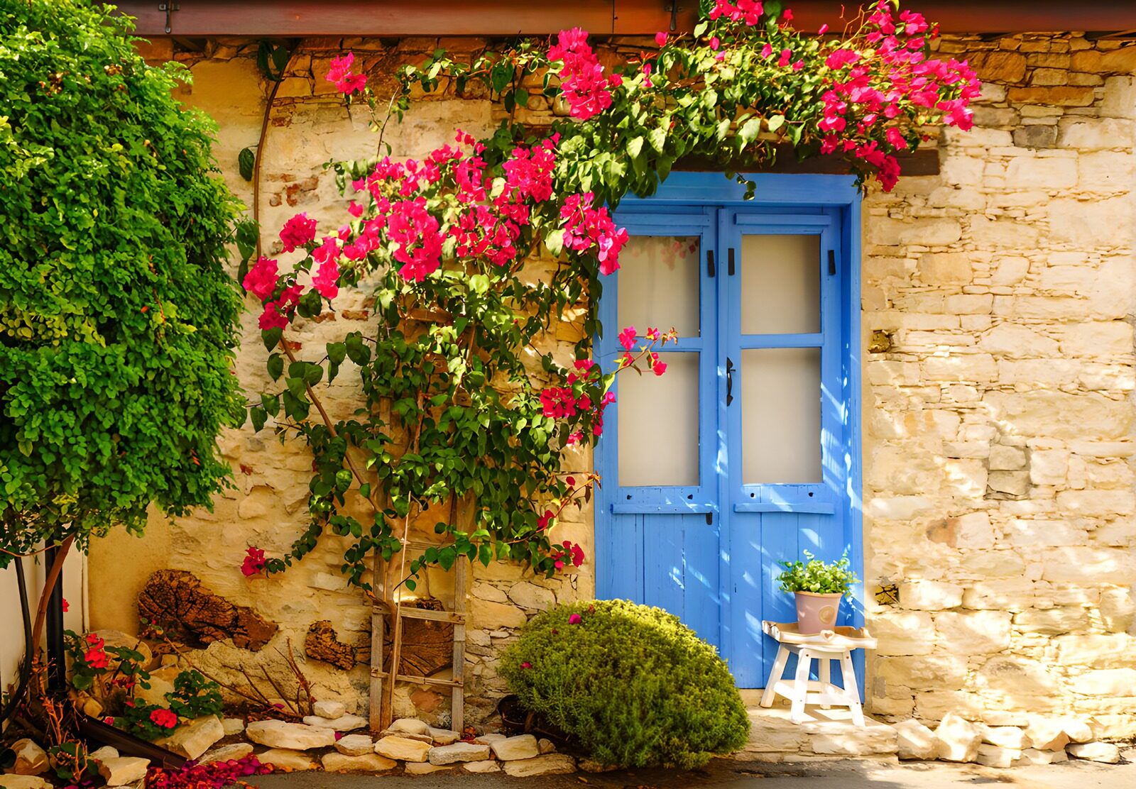 OCUK41696: Old wall overgrown with Bougainville