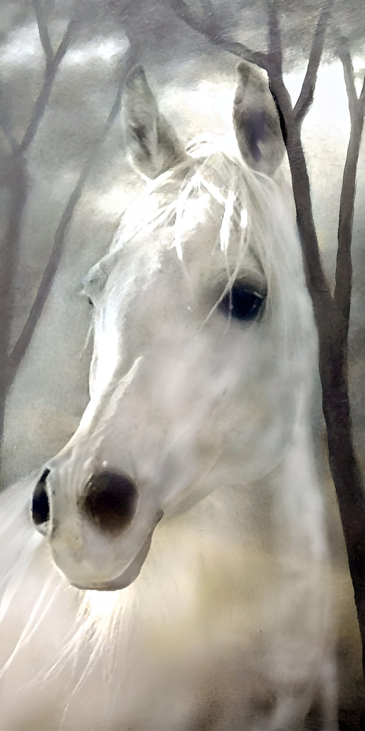 OCUK64278: Ethereal White Horse in Misty Forest