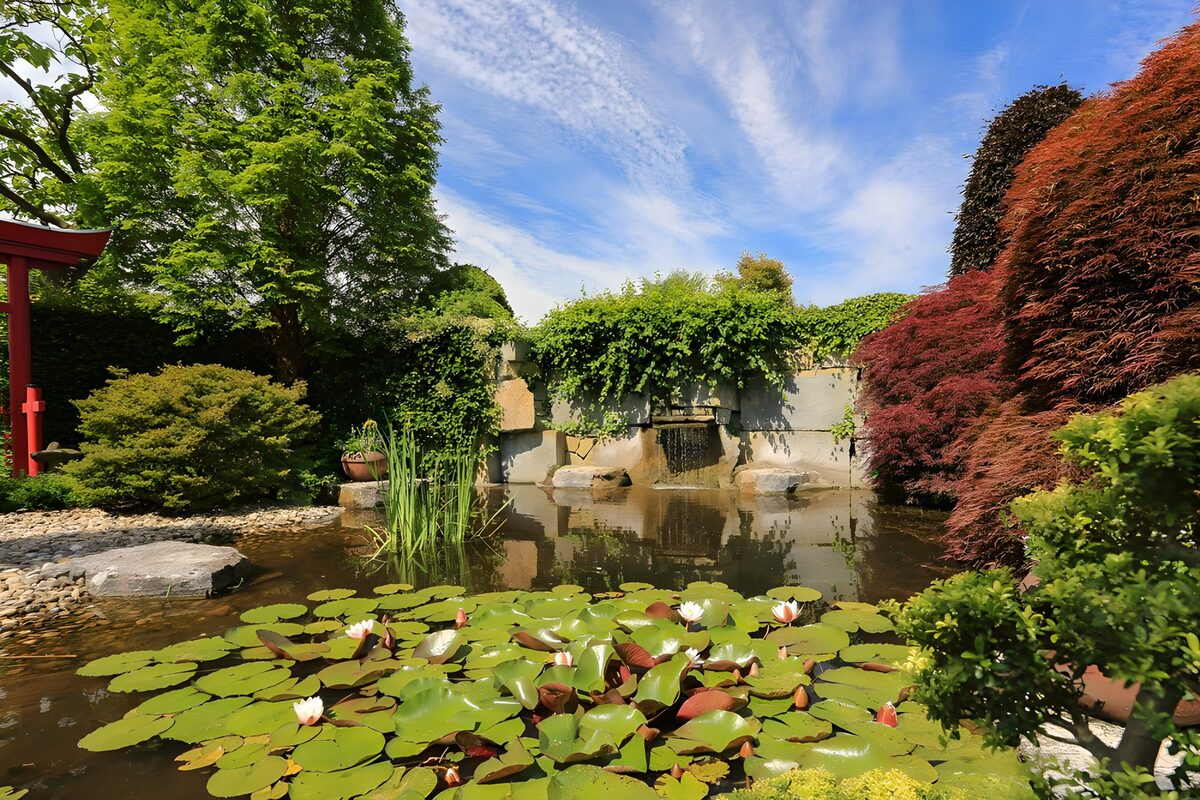 OCUK63535: Tranquil Japanese Garden Oasis