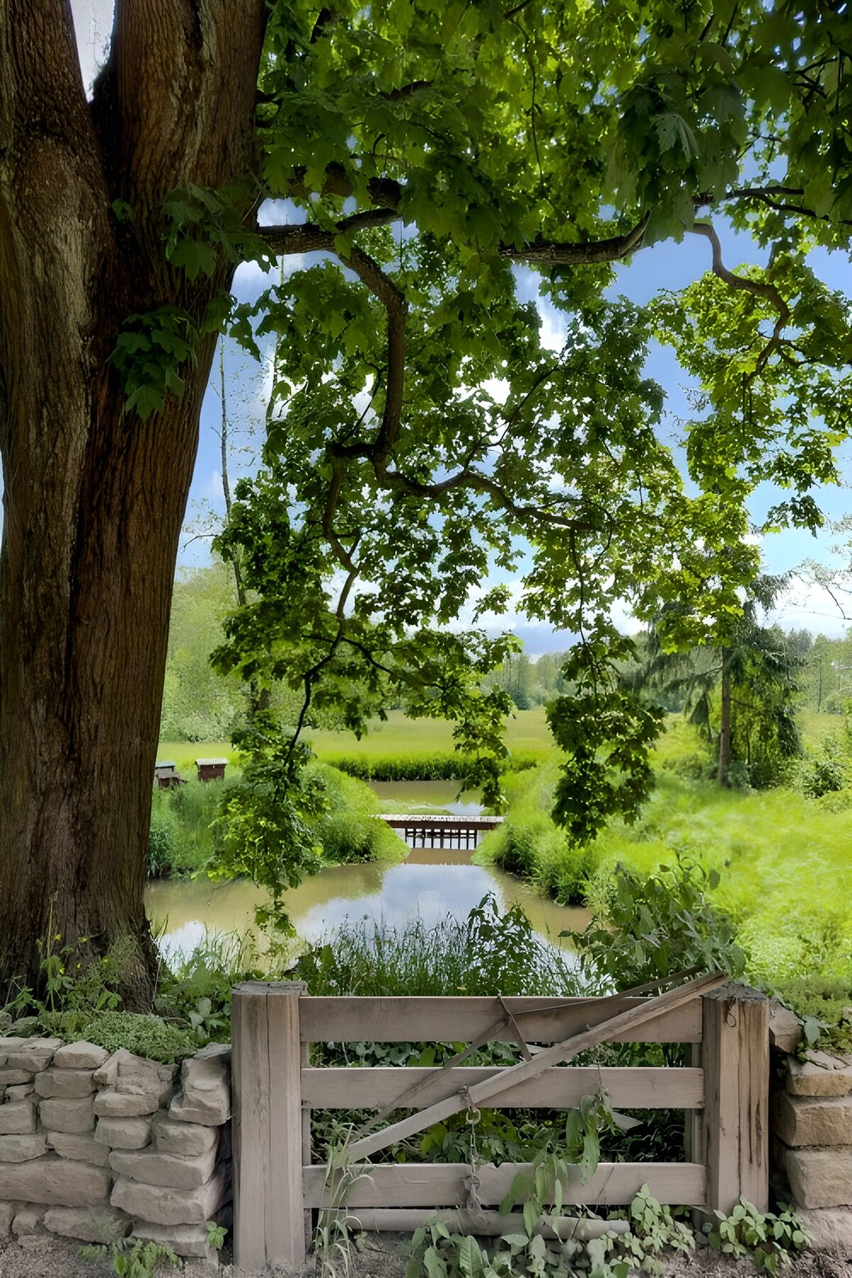 OCUK71781: Tranquil Gateway to Nature
