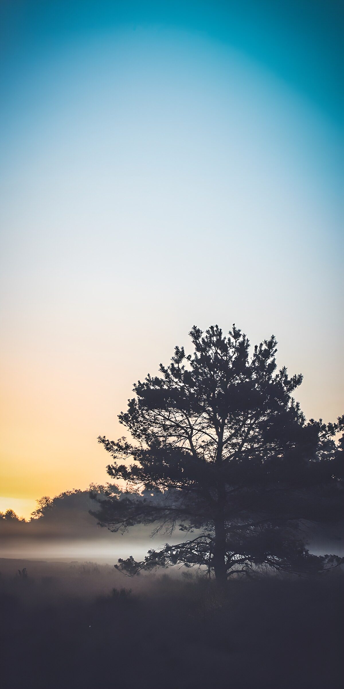 OCUK87380: Serene Dawn in Nature