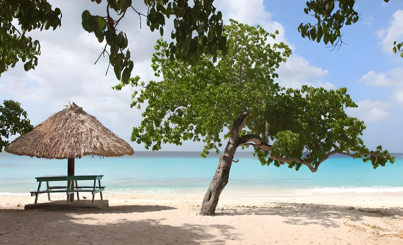 OCUK25287: Tree and Parasol made of reed at the Caribbean version 1