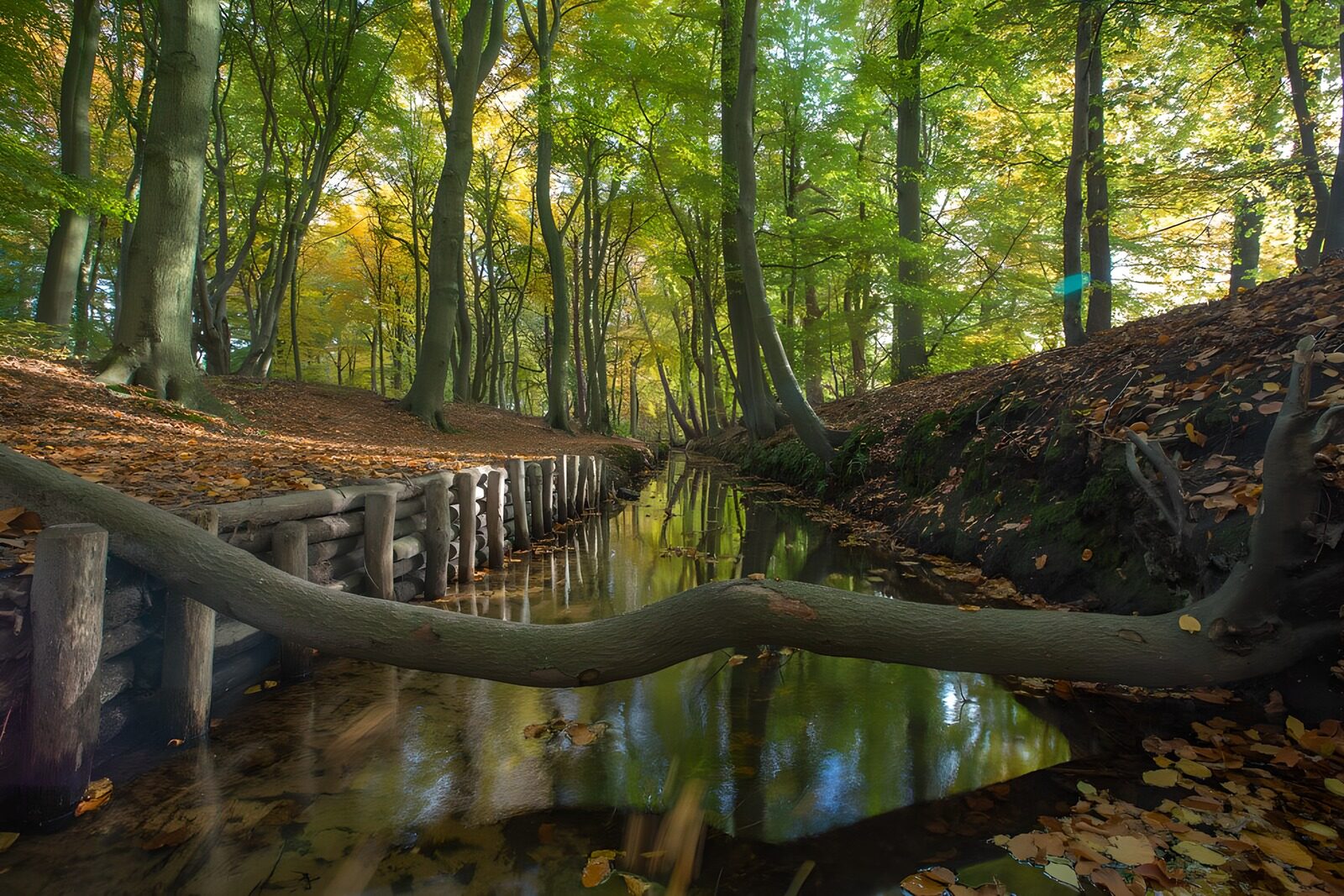 OCUK96022: Fallen tree over a creek in "Hierden"