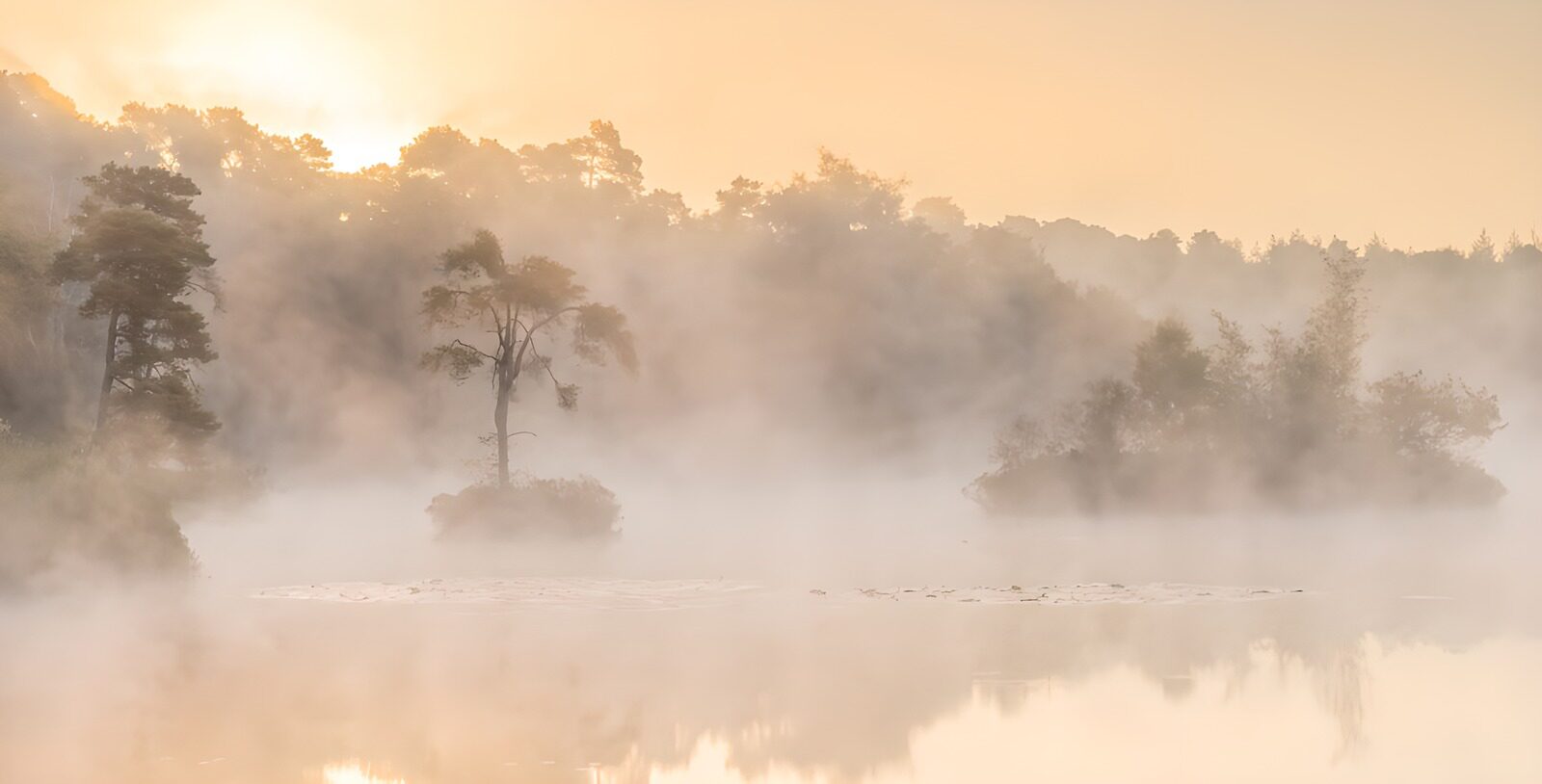 OCUK71561: Misty Morning Serenity