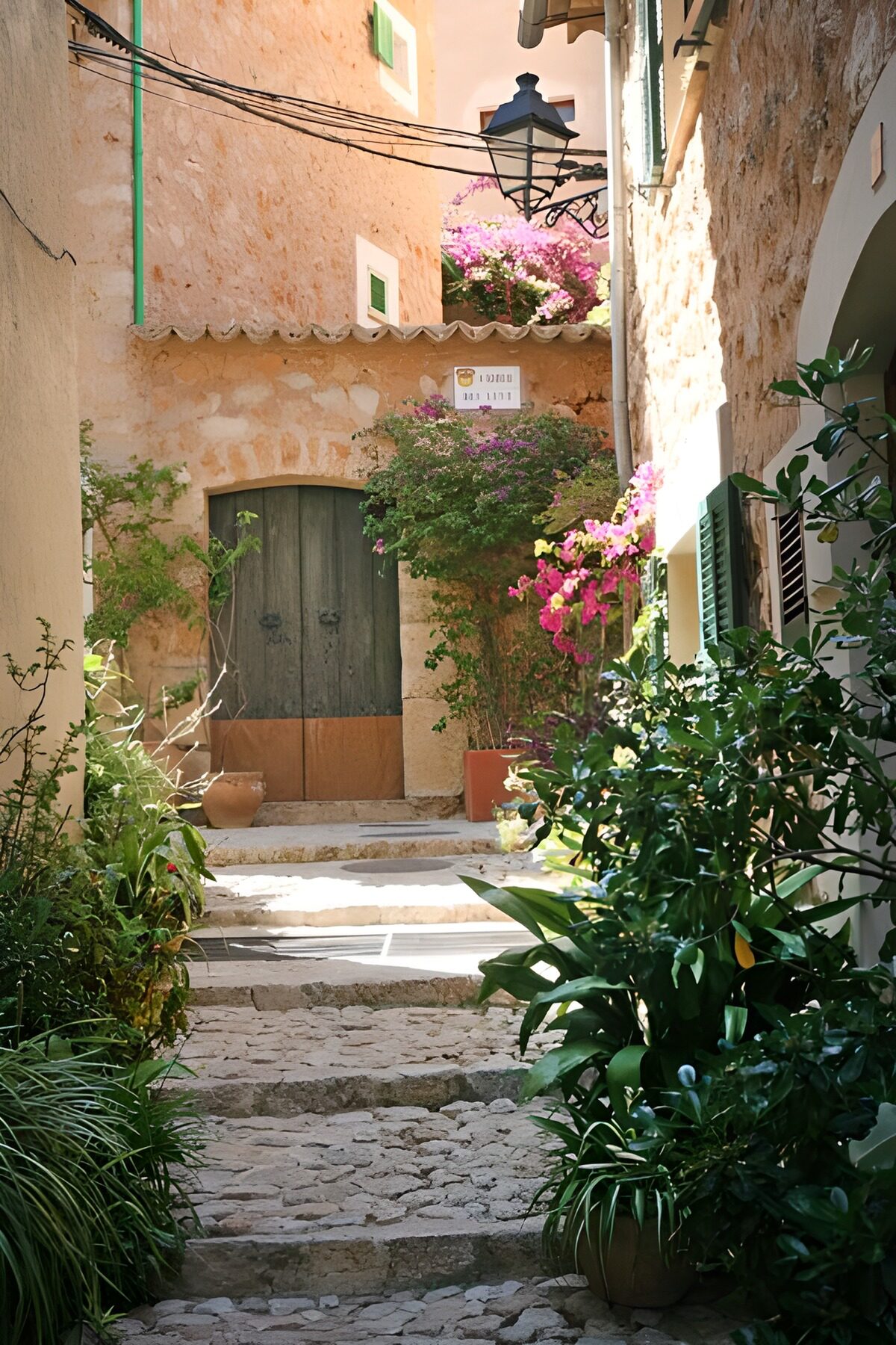 Small steps with large door and plants 3