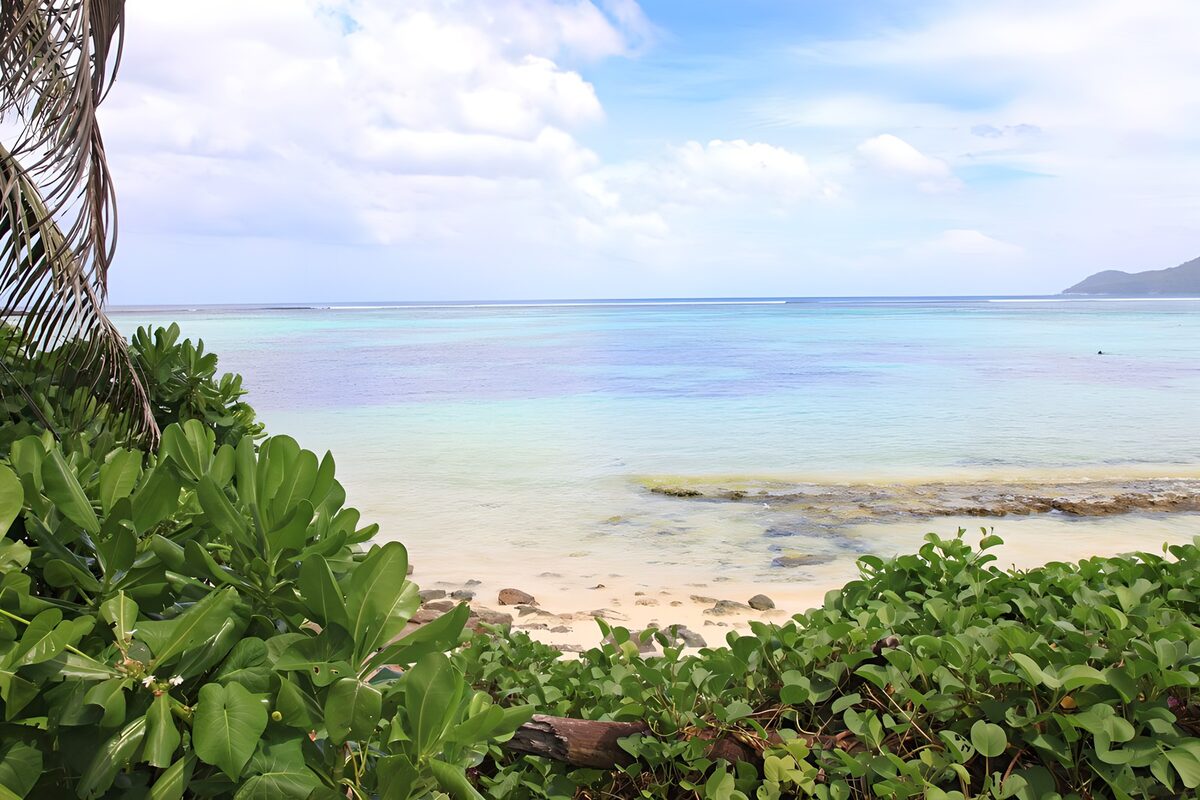 OCUK55906: Tropical Beach Serenity
